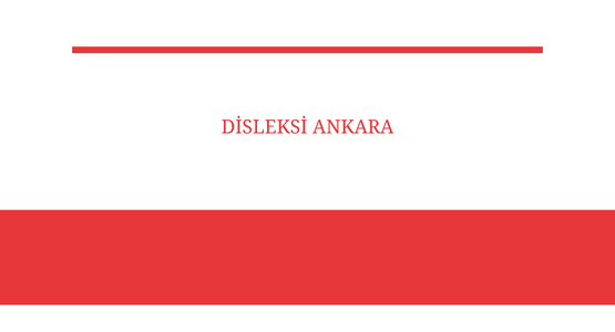 disleksi ankara