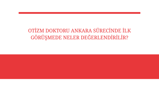 otizm doktoru ankara surecinde ilk gorusmede neler degerlendirilir