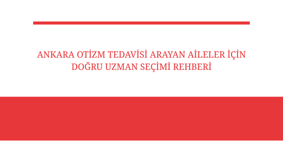 ankara otizm tedavisi arayan aileler icin dogru uzman secimi rehberi
