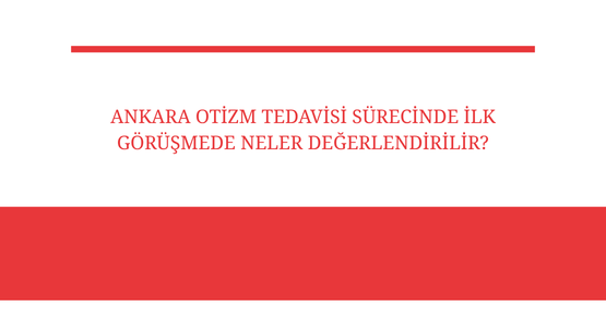 ankara otizm tedavisi surecinde ilk gorusmede neler degerlendirilir