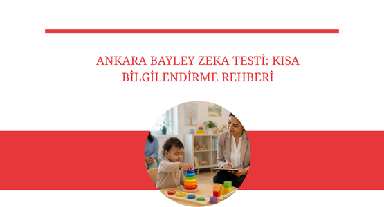 ankara bayley zeka testi kisa bilgilendirme rehberi