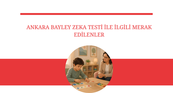 ankara bayley zeka testi ile ilgili merak edilenler